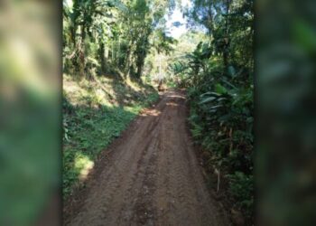 Prefeitura de Antonina realiza manutenção na Estrada do Saivá