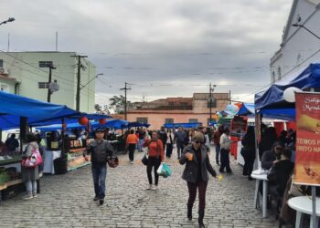 Feira da Catedral celebra 34 anos com programação especial neste sábado em Paranaguá