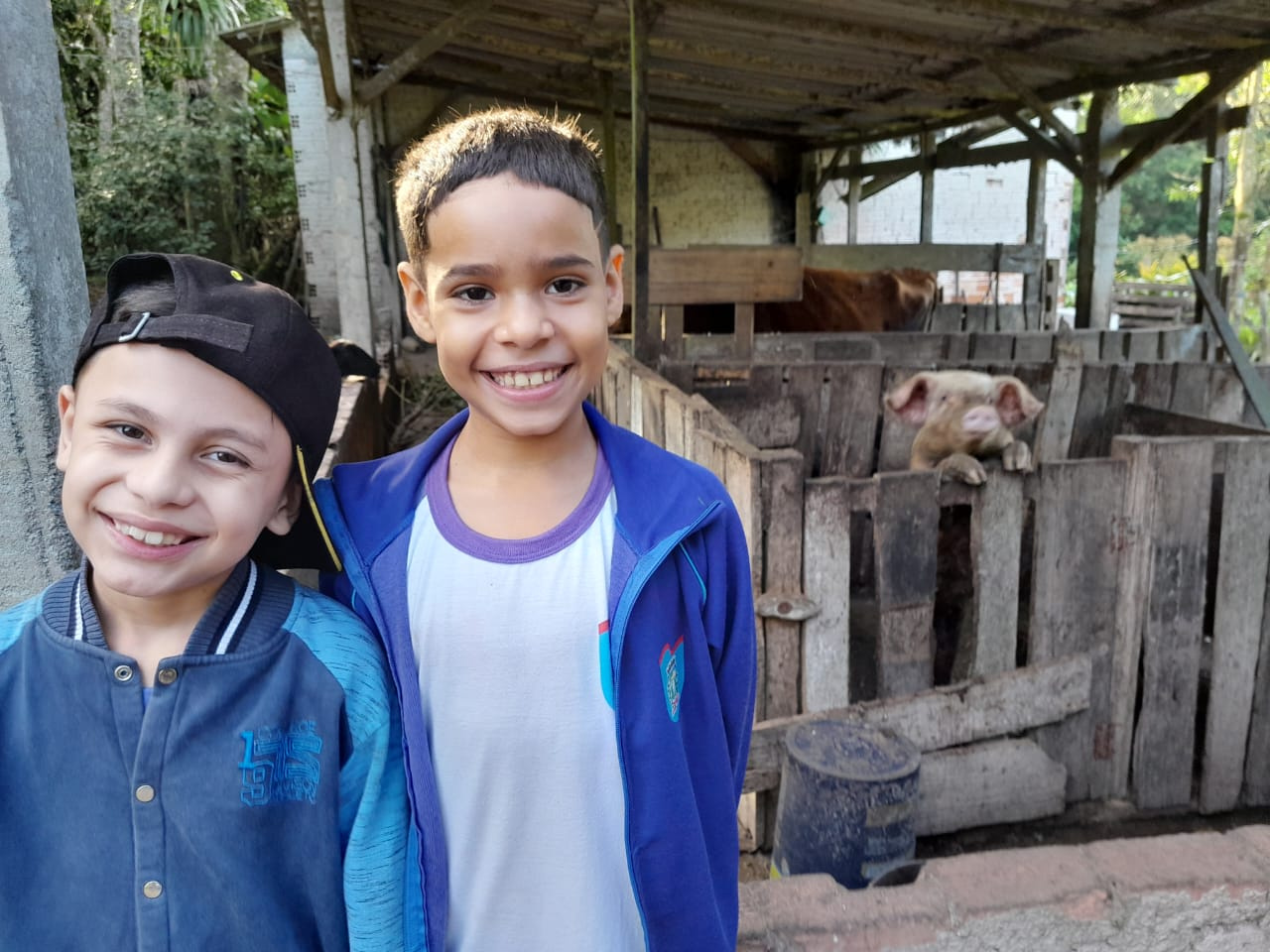 Foto: Arquivo/ Estudantes da Semedi