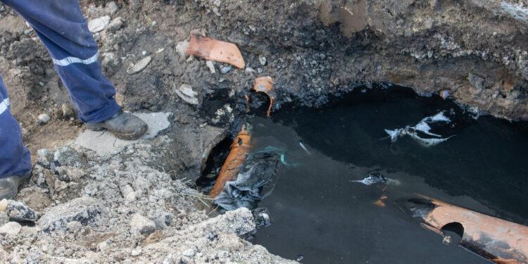 Foto: Prefeitura de Paranaguá