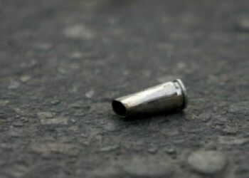 Créditos - Reprodução da internet