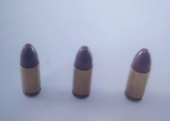 Homem é detido por violência doméstica e posse ilegal de munições em Guaratuba