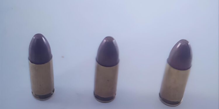 Homem é detido por violência doméstica e posse ilegal de munições em Guaratuba