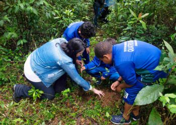 Foto: Denis Ferreira Netto/SEDEST