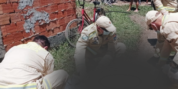 Foto: Gazeta informativa