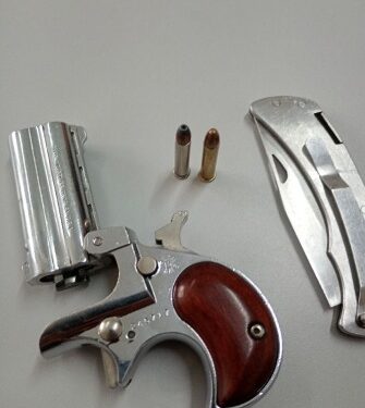 GCM apreende arma de fogo durante abordagem a carreta com indicativo de furto em Paranaguá