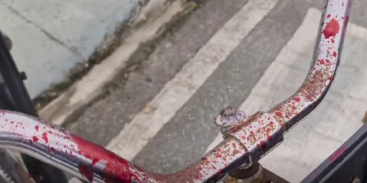 Foto: Reprodução / QAP Litoral Notícias