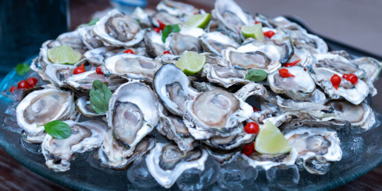 Foto: Divulgação/Sebrae-PR