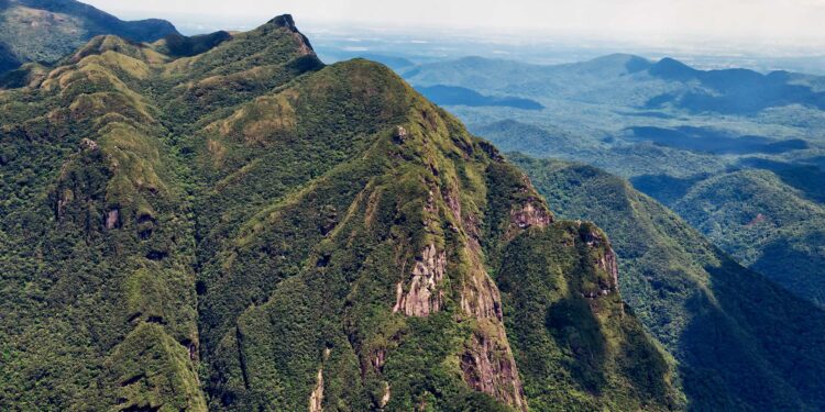 Foto: Denis Ferreira Netto/SEDEST-PR