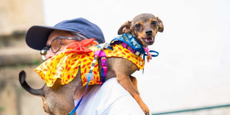 2º Passeio Pet com a Mãe do Rocio bate recorde de animais participantes