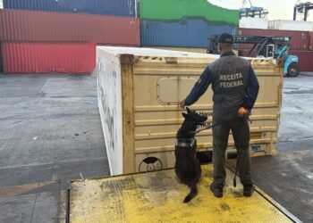 Receita Federal retém 23 kg de cocaína em ação de fiscalização em Paranaguá