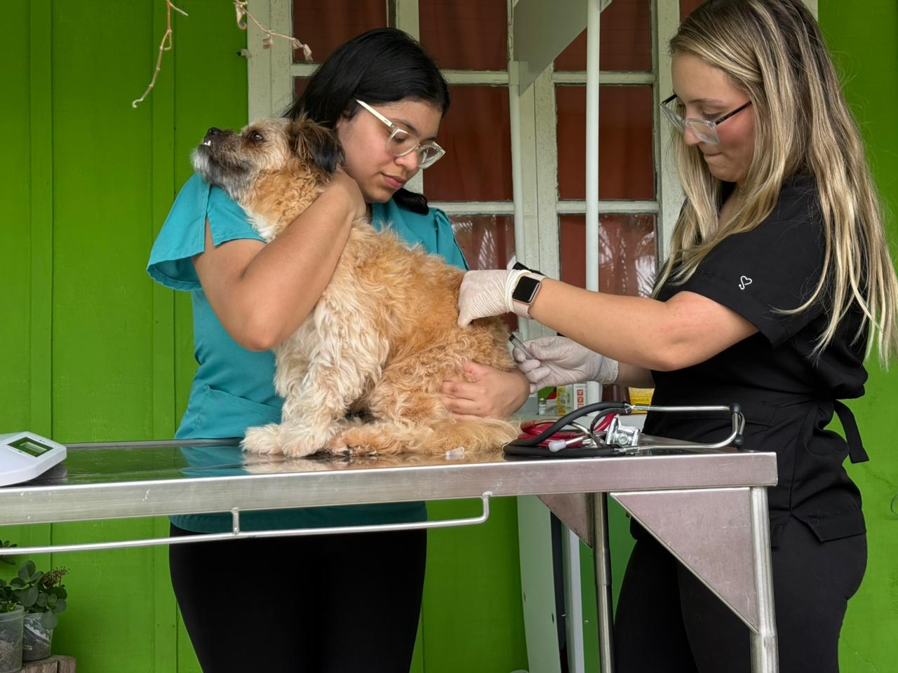 Foto: divulgação/TCP