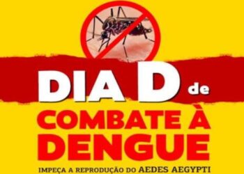 Dia Nacional de Combate à Dengue reforça importância da prevenção e mobilização da população