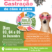 Mutirão de Castração de cães e gatos em Pontal do Paraná