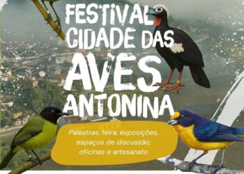 Antonina recebe o Festival Cidade das Aves
