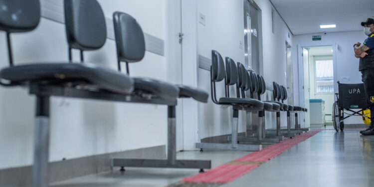 Foto: Moyses Zanardo