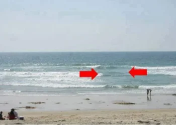 Foto: Internet/ Folha de Vitória