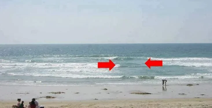 Foto: Internet/ Folha de Vitória