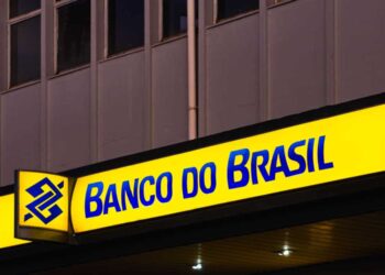 Imagem: rafapress / shutterstock.com