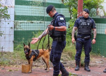 Guarda Civil Municipal de Paranaguá avança na capacitação com instrução sobre cães de faro