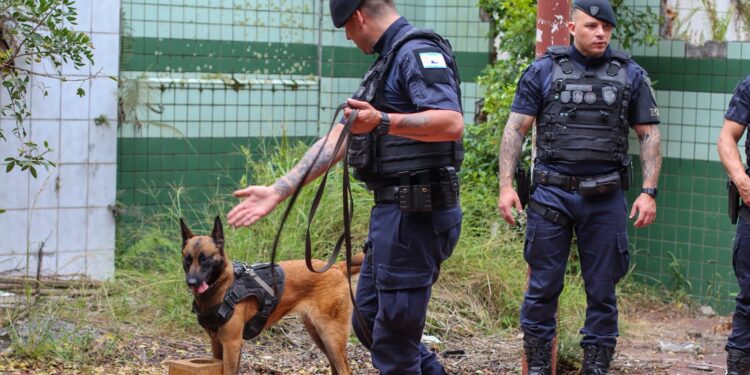 Guarda Civil Municipal de Paranaguá avança na capacitação com instrução sobre cães de faro