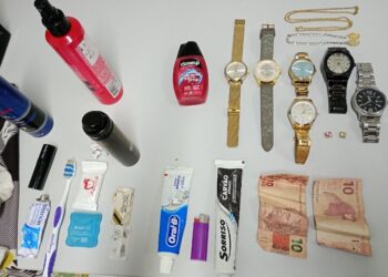 GCM Paranaguá age rápido e prende suspeito de furto em residência no bairro Leblon