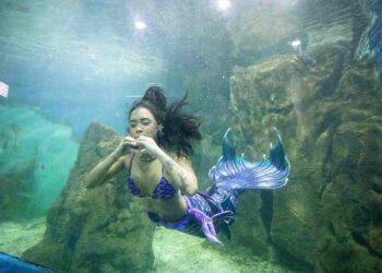 Foto: Portos do Paraná