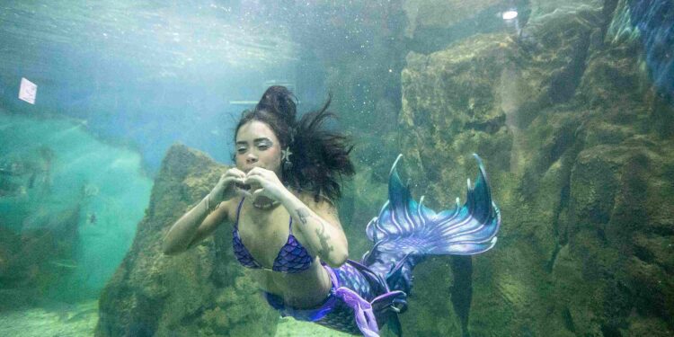 Foto: Portos do Paraná