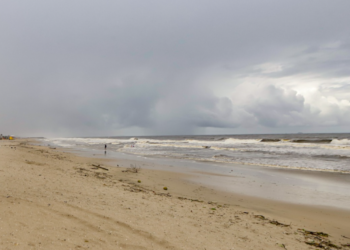 Foto: Roberto Dziura Jr/AEN