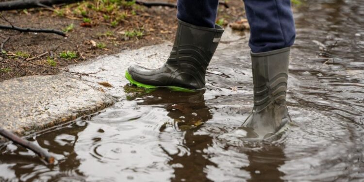 Foto: Reprodução/Pixabay