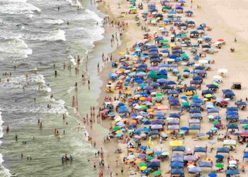 Foto: Denis Ferreira Netto/SEDEST