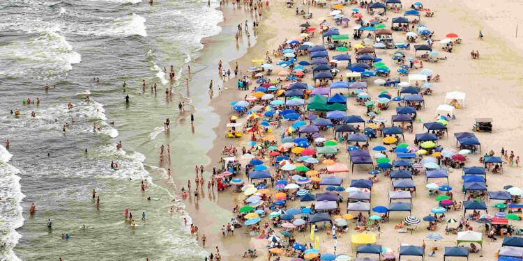 Foto: Denis Ferreira Netto/SEDEST