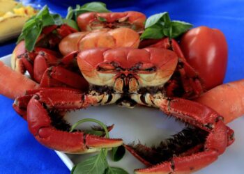 Foto: Cesar ramires/ Prefs Pontal do Paraná