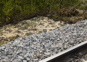 Foto: Prefs de Morretes