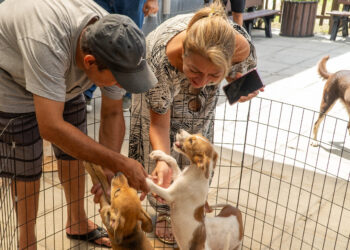 Fotos: Sílvia Costa