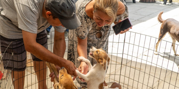 Fotos: Sílvia Costa