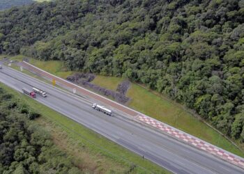 Área de escape da BR-277 recebe revitalização completa