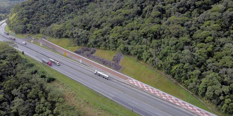 Área de escape da BR-277 recebe revitalização completa