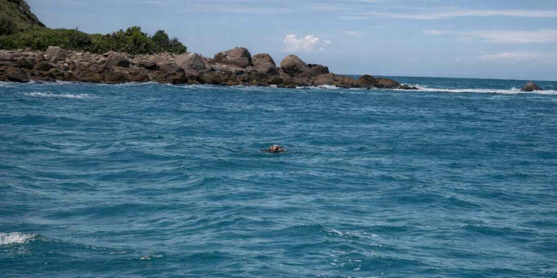 Foto: Comunicação | PMP-BS/LEC-UFPR