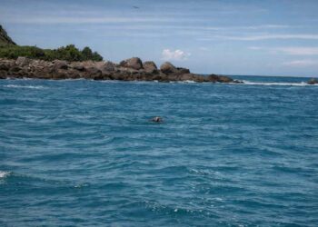 Foto: Comunicação | PMP-BS/LEC-UFPR