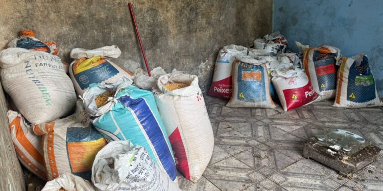 Operação Limpa Trilho cumpre sete mandados de busca e apreensão em Paranaguá