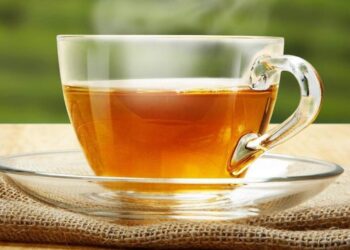 Reprodiução/Shutterstock.com