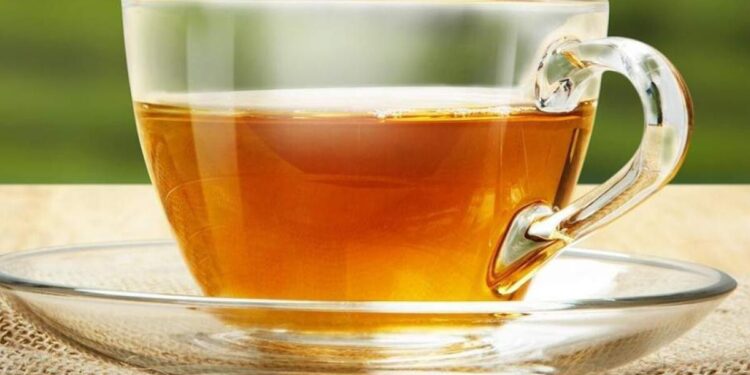 Reprodiução/Shutterstock.com