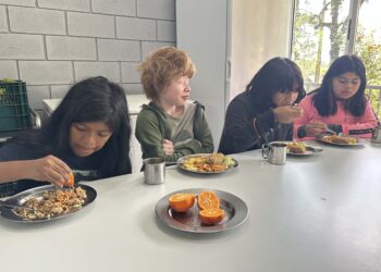 Foto: Karina Audrey/Fundepar