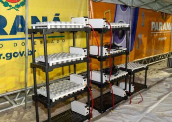 Foto: Felipe Henschel/AEN