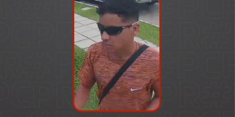 Foto: Divulgação PCPR