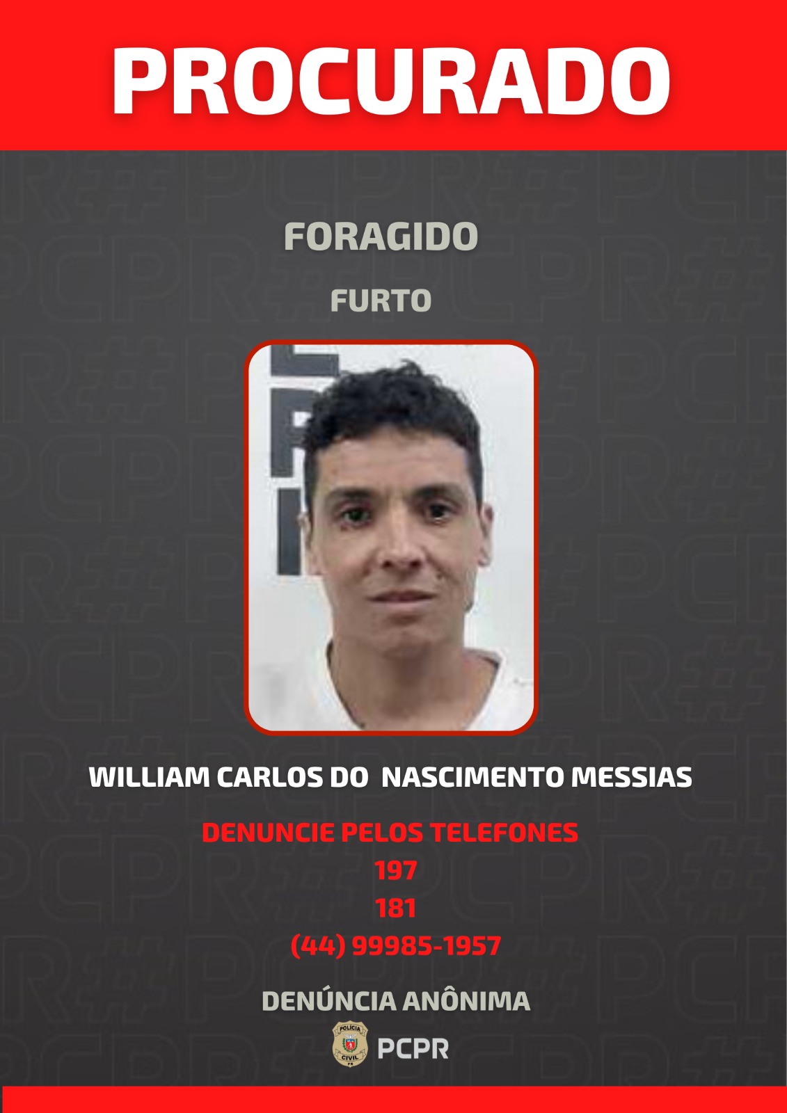 Foto: Divulgação PCPR