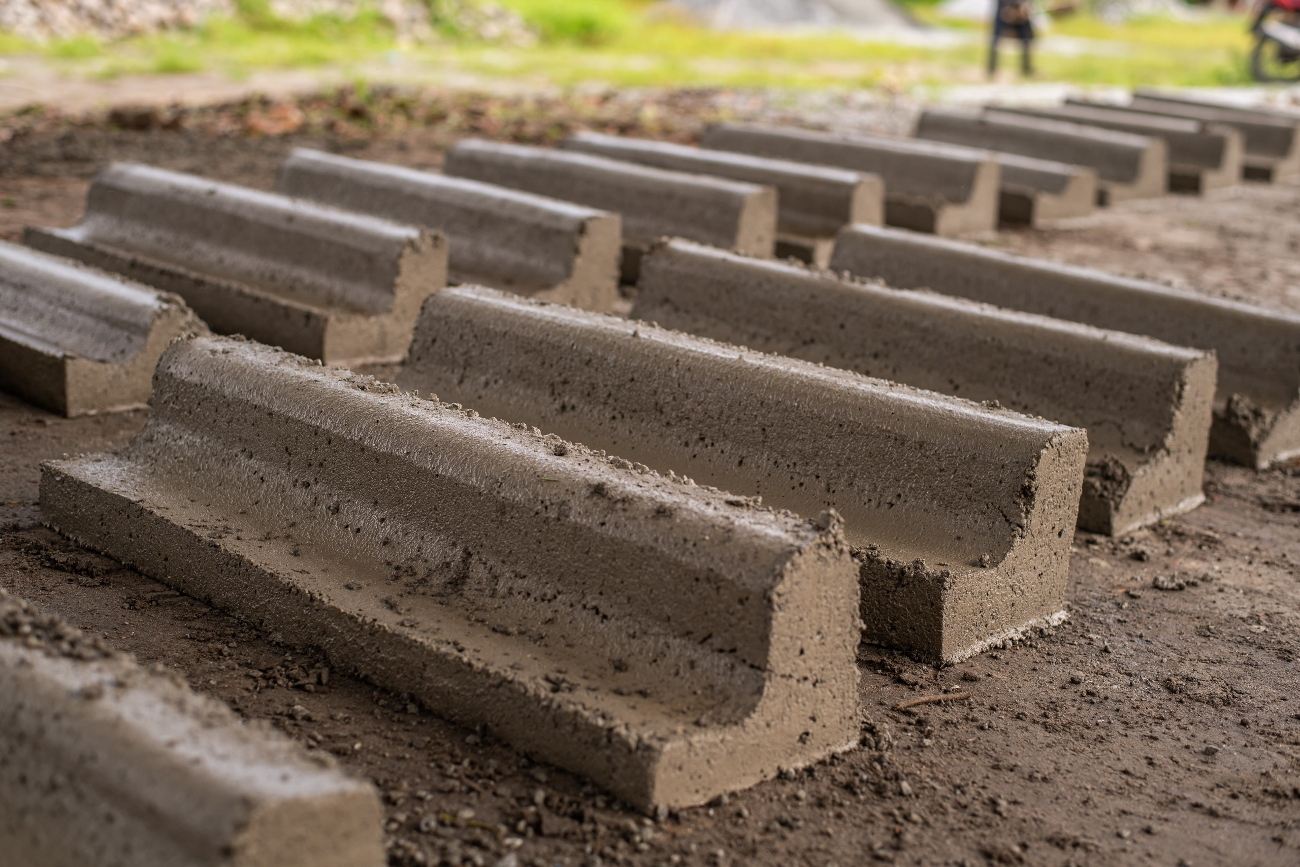 Fotos: Moyses Zanardo