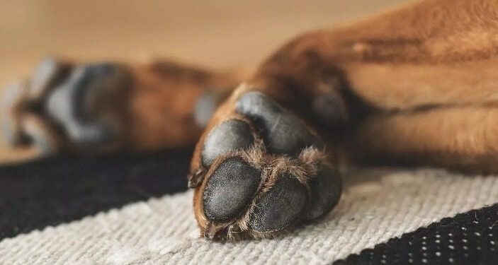 Foto: LUM3N via Pixabay