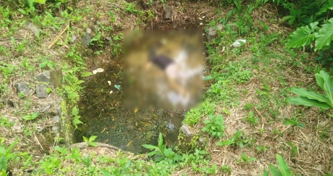 Corpo de mulher é encontrado em área de mata em Antonina